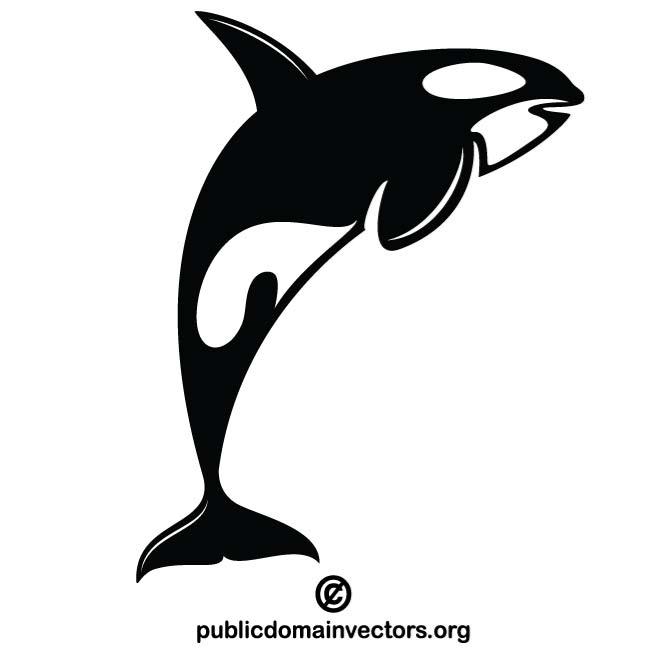 660x660 Free Orca Vectors 2 Downloads Found