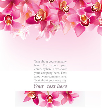 349x368 Orchid Free Vector Download (81 Free Vector) For Commercial Use
