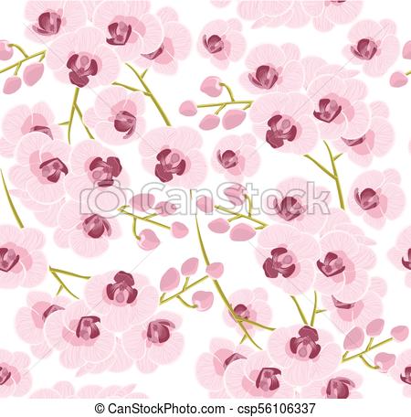 450x456 Pattern Of Colorful Orchid Flowers Vector Illustration.stock