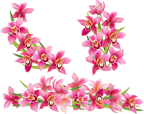 492x392 Pink Orchids Design Vector Free Vector In Encapsulated Postscript