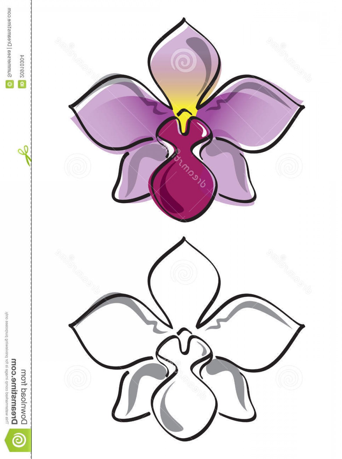 1164x1560 Stock Images Orchid Flower Vector Image Shopatcloth