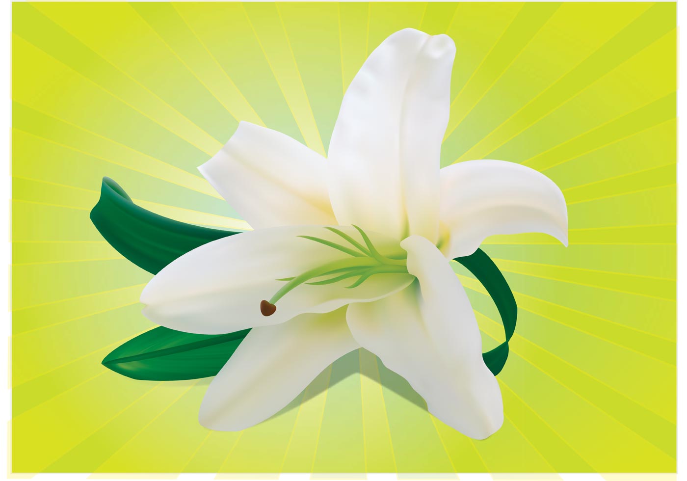 1400x980 Orchid Flower Free Vector Art