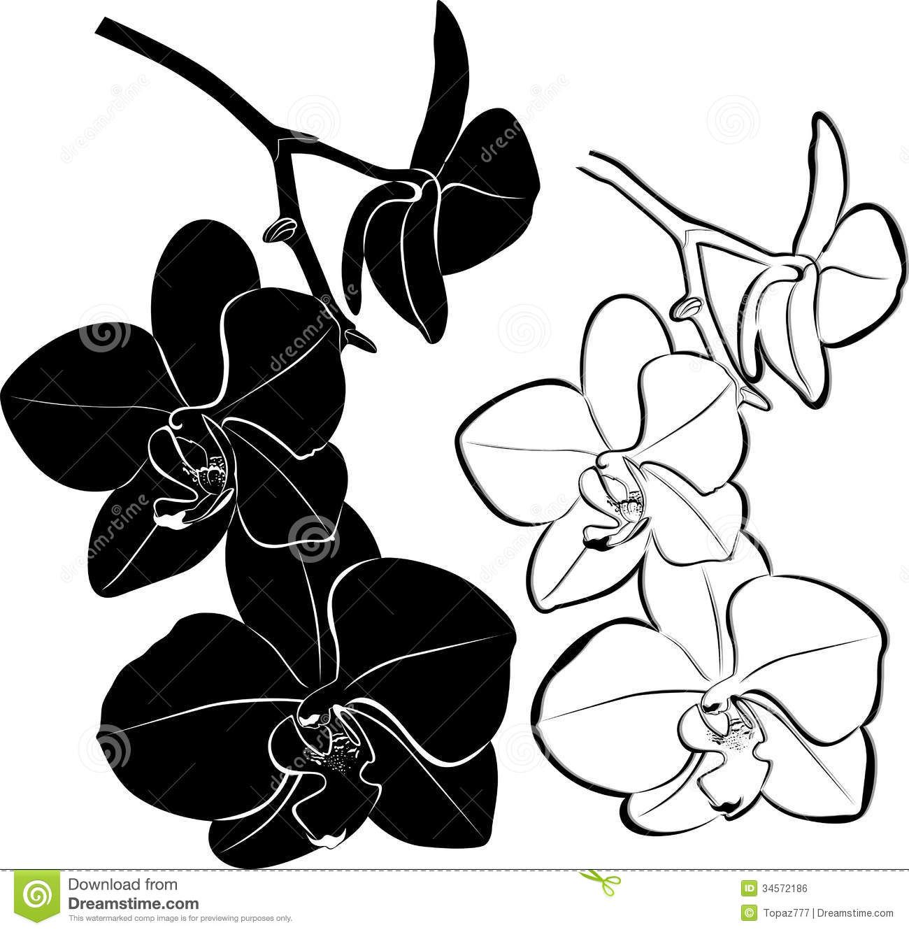 1300x1333 Orchid Clipart Vector