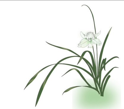 419x368 Orchid Free Vector Download (81 Free Vector) For Commercial Use