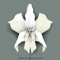 200x200 Orchid Free Vector Graphic Art Free Download (Found 63 Files) Ai