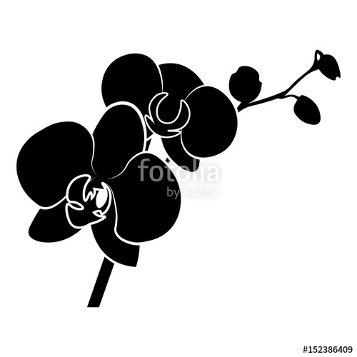 500x500 Orchid Vector Icon. Stock Image And Royalty Free Vector Files On