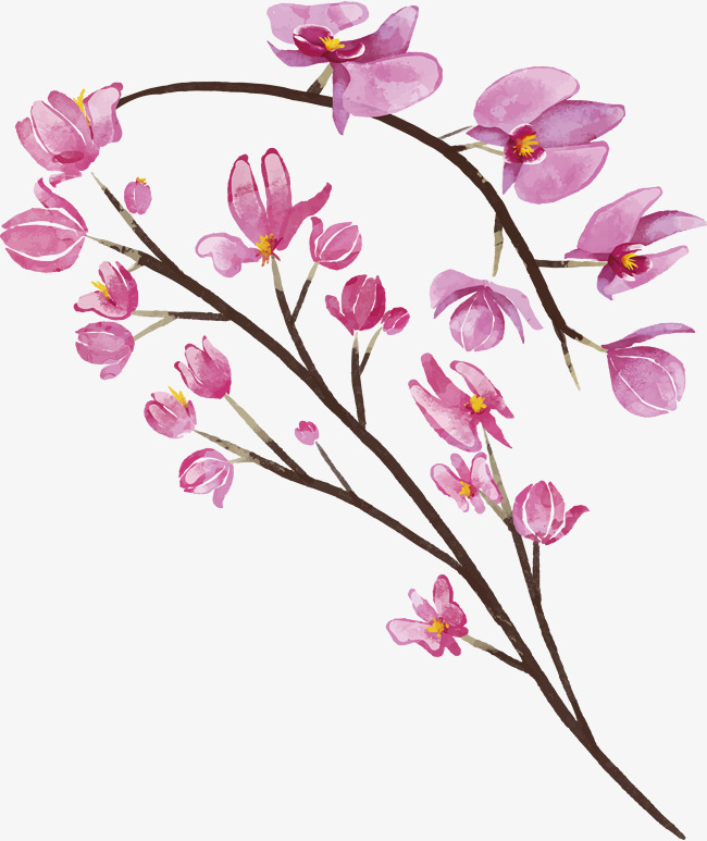 650x773 Pink Hand Painted Watercolor Butterfly Orchid, Vector Png, Hand