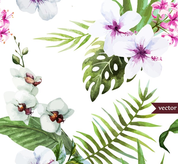 600x552 White Hibiscus And Butterfly Orchid Vector Graphics My Free