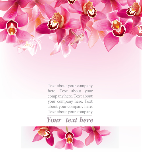 500x533 Elegant Orchids Vector Background Art 01 Free Download