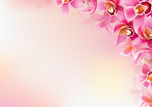 500x353 Elegant Orchids Vector Background Art Free Vector In Encapsulated