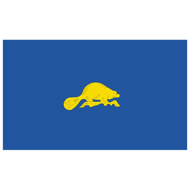 660x660 Flag Of Oregon