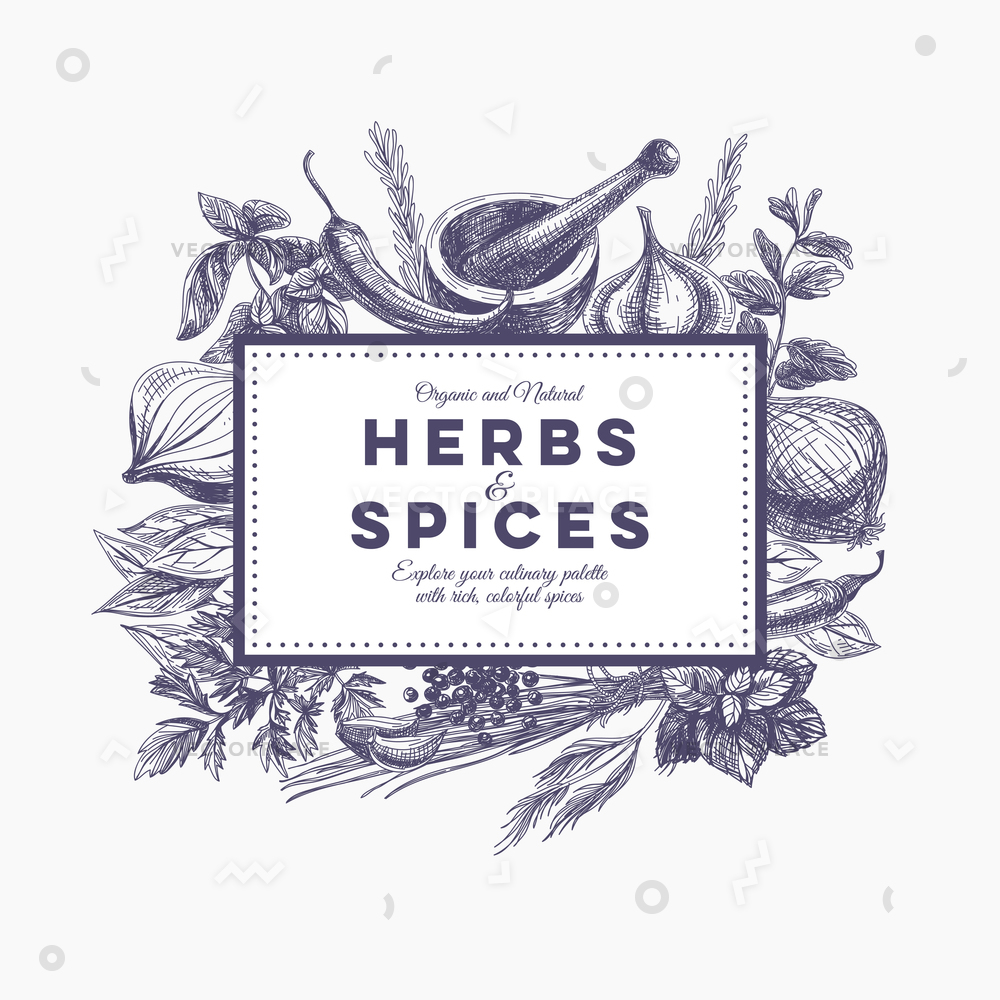 1000x1000 Background Hand Drawn Herbs Spices Organic Vector Illustration