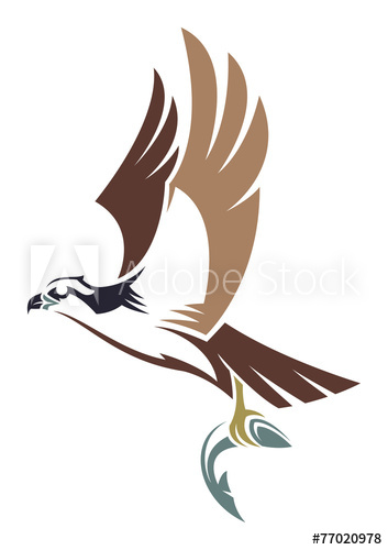 Osprey Vector at GetDrawings | Free download