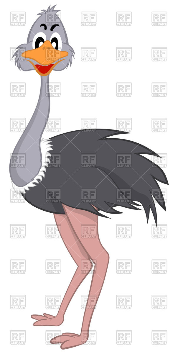 604x1200 Funny Cartoon Ostrich Vector Image Vector Artwork Of Plants And