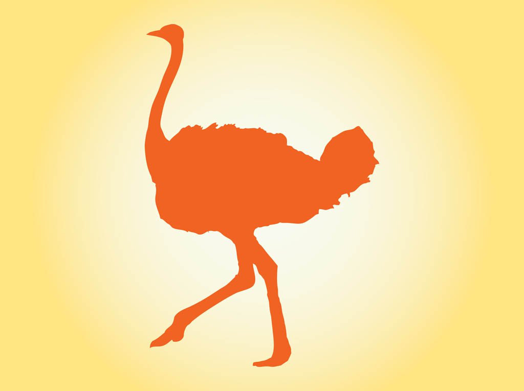 1024x765 Ostrich Silhouette Vector Art Amp Graphics