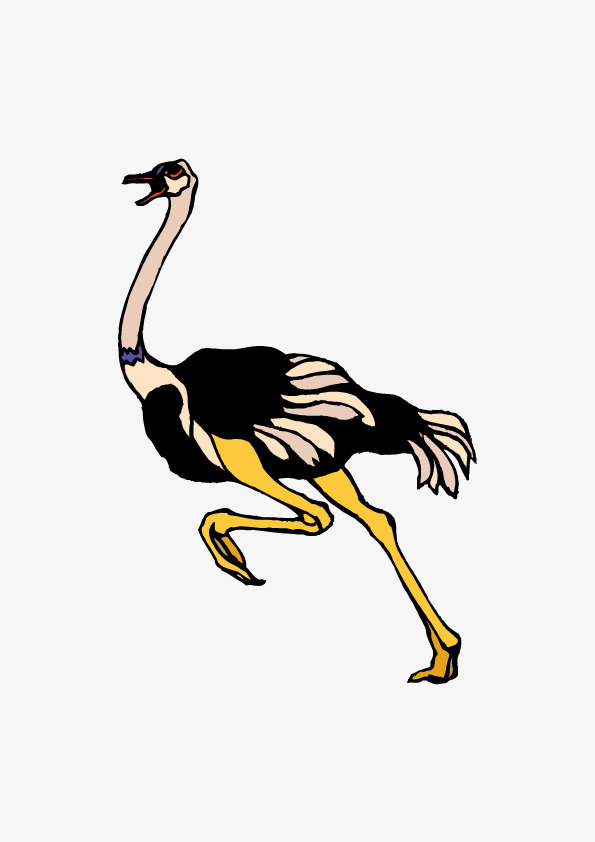 595x842 Ostrich Vector, Vector Material, Cartoon, Ostrich Png And Vector