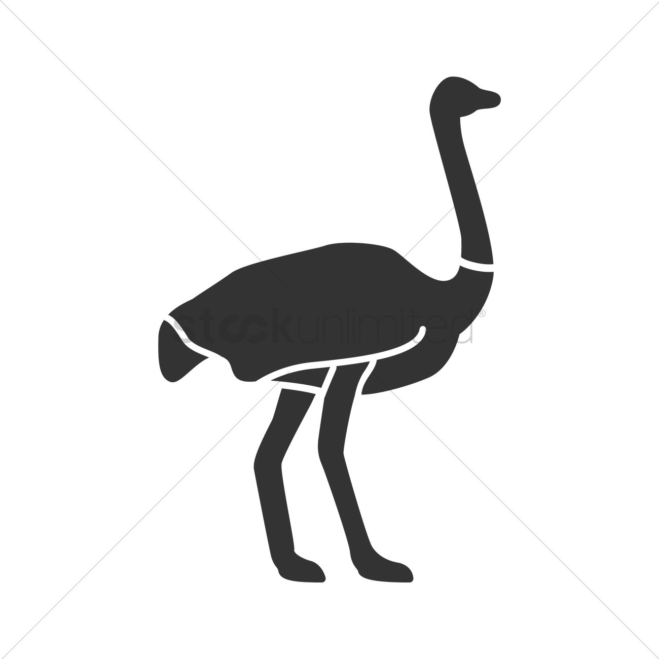 1300x1300 Ostrich Vector Image