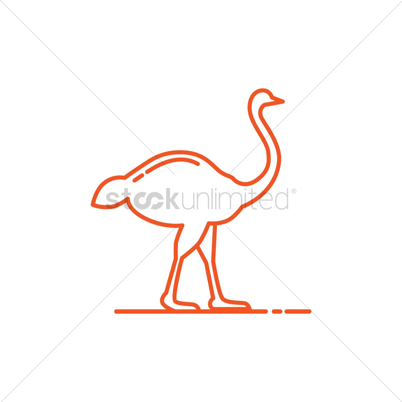 1300x1300 Ostrich Vector Image