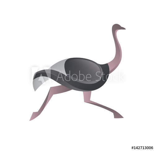 500x488 Ostrich Vector Logo