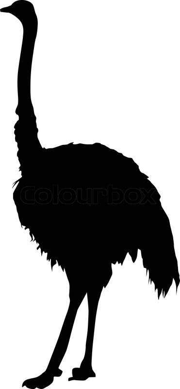 371x800 Silhouette Of An Ostrich Stock Vector Colourbox