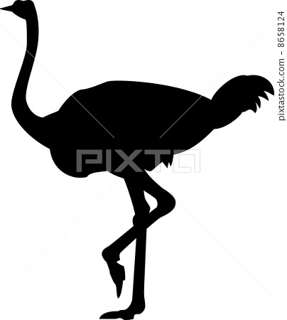 404x450 Ostrich, Vector, Vectors