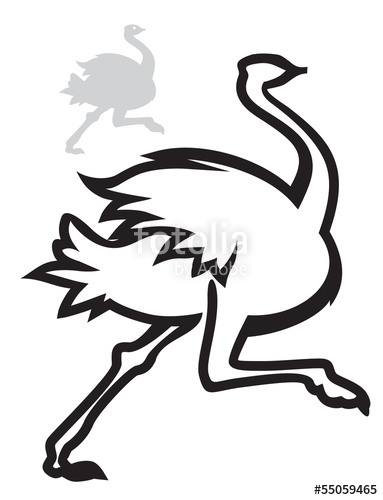 383x500 Ostrich Vector Stock Image And Royalty Free Vector Files On