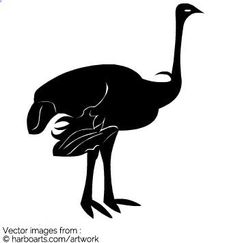 335x355 Download Ostrich