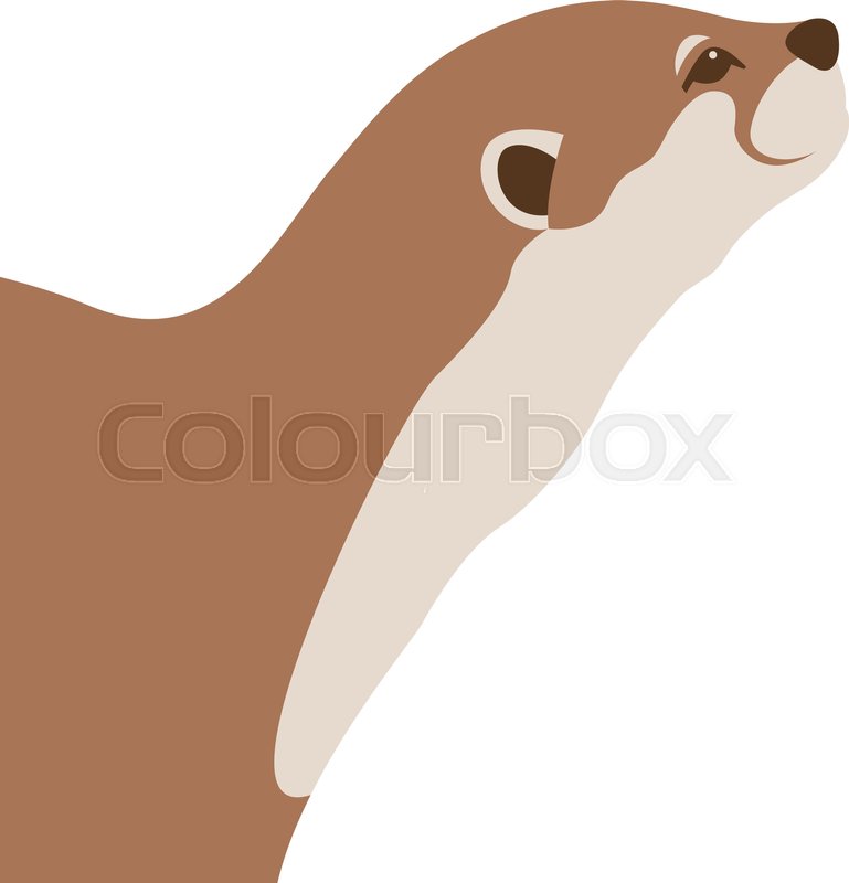 769x800 Otter Vector Illustration Style Flat Stock Vector Colourbox