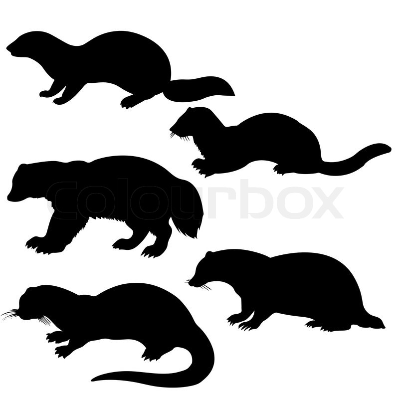 800x800 Vector Silhouettes Animal On White Background Stock Vector
