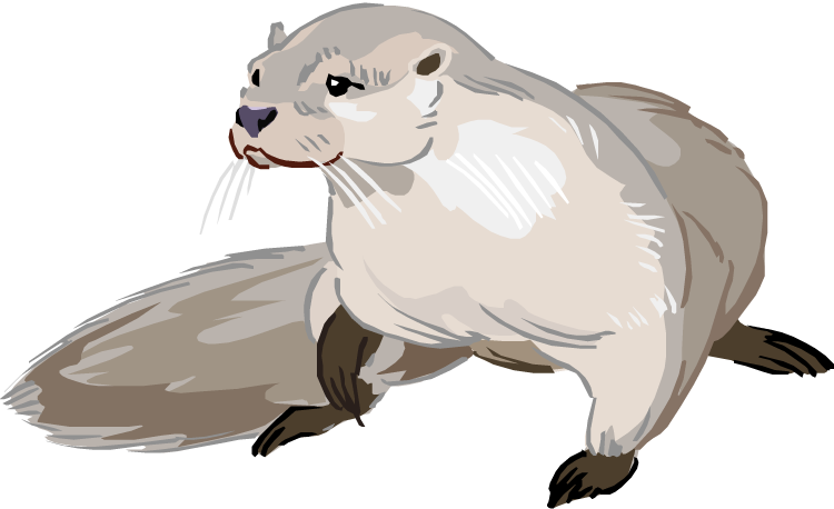 750x458 19 Sea Otters Vector Transparent Huge Freebie! Download For