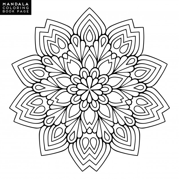 626x626 Flower Outline Vectors, Photos And Psd Files Free Download