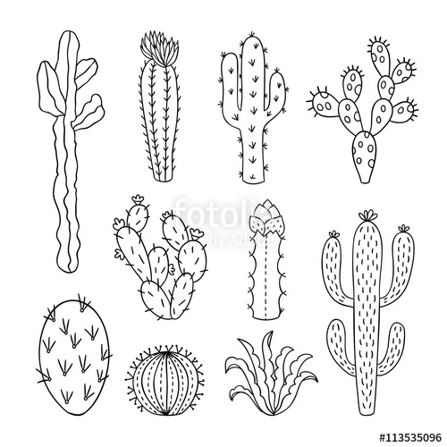 500x500 Cactus Outline Vector Illustrations. Succulents Plants Doodle