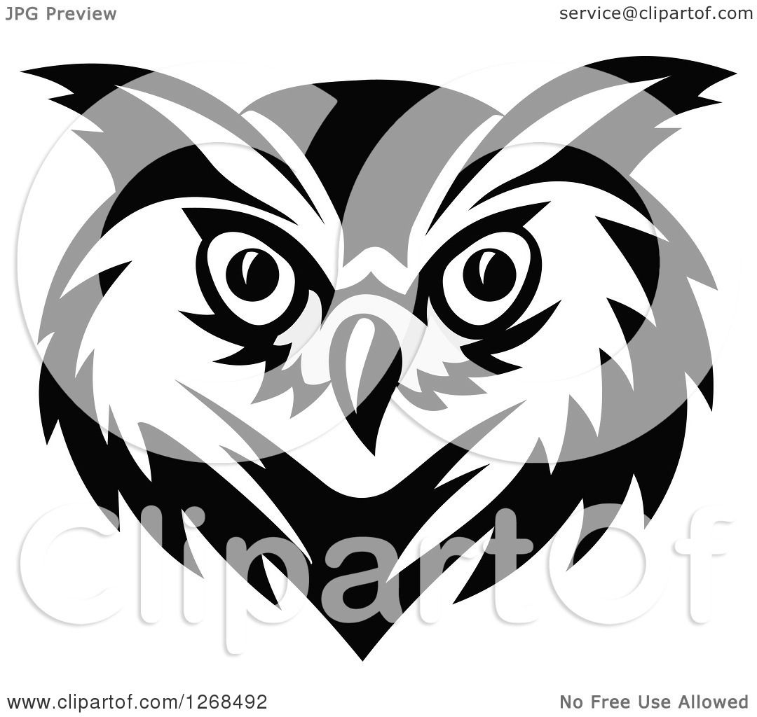 1080x1024 Clipart Of A Black And White Owl Face