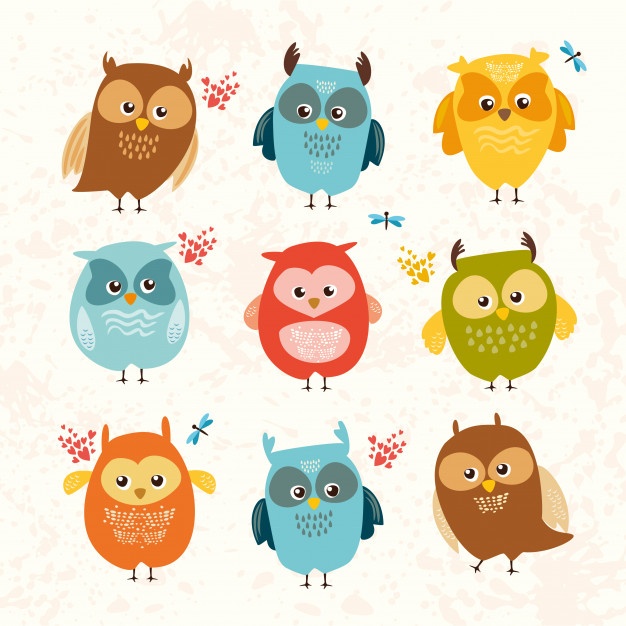 626x626 Owl Face Vectors, Photos And Psd Files Free Download