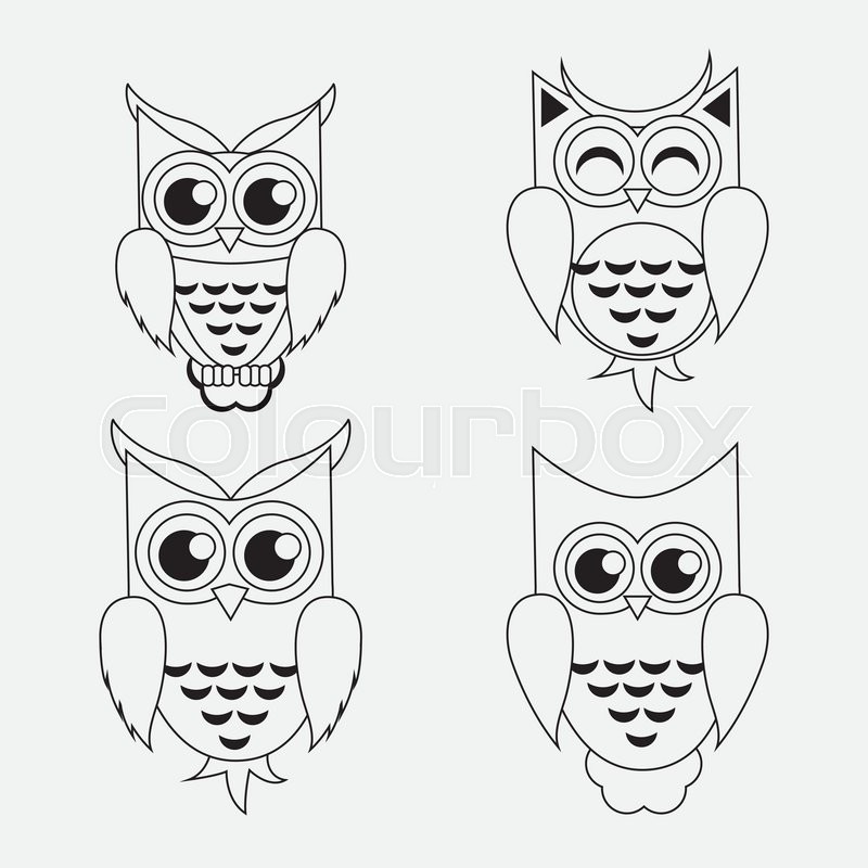 800x800 Owl Concept With Icon Design, Vector Illustration 10 Eps Graphic
