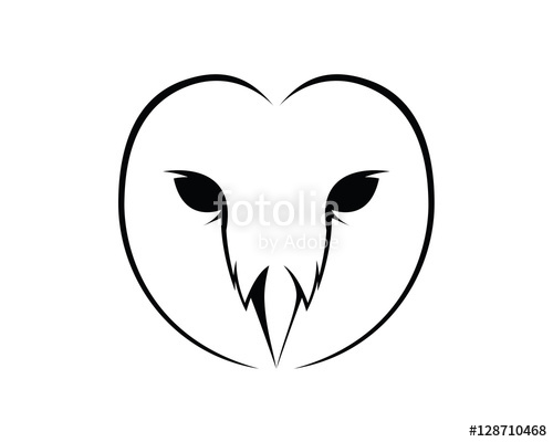 500x400 Barn Owl Face Stock Image And Royalty Free Vector Files On