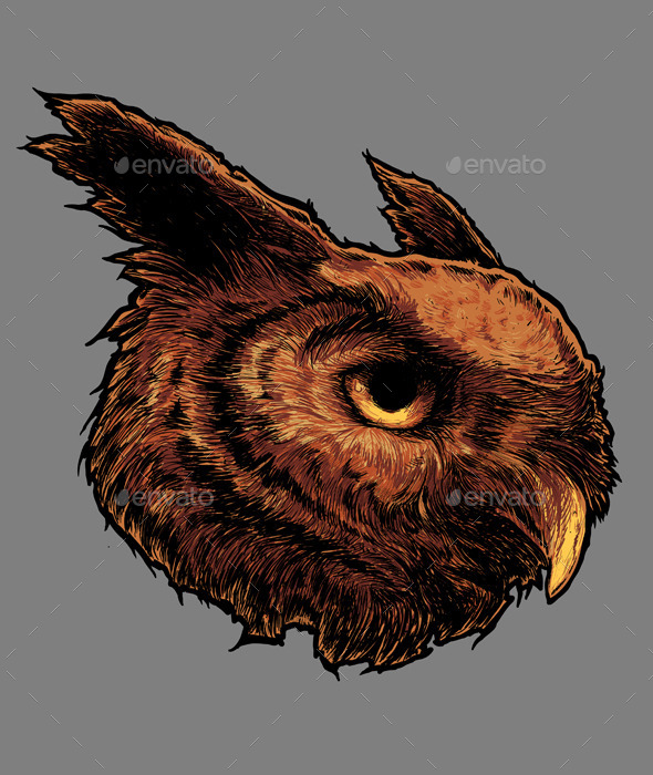 590x700 Owl Head Vector By Persetan2 Graphicriver
