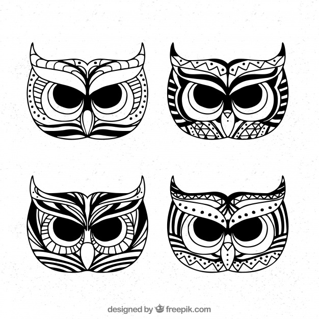 626x626 Owl Head Vectors, Photos And Psd Files Free Download