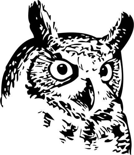 432x500 Owl Head Vector Image Public Domain Vectors