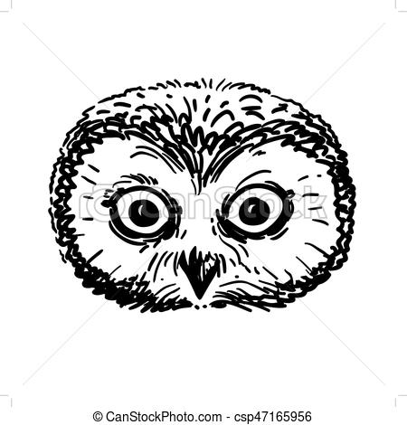 450x470 Pen And Ink Owl Head Sketch. Vector Hand Drawn Black And White