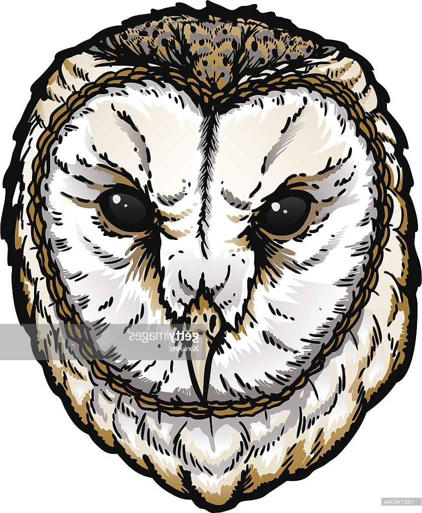 843x1024 Top Barn Owl Head Vector Cdr