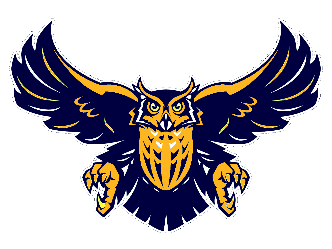 1365x1024 Owl Navy Blue Free Images