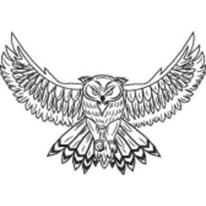 300x300 Owl Logo, Vector Logo Of Owl Brand Free Download (Eps, Ai, Png