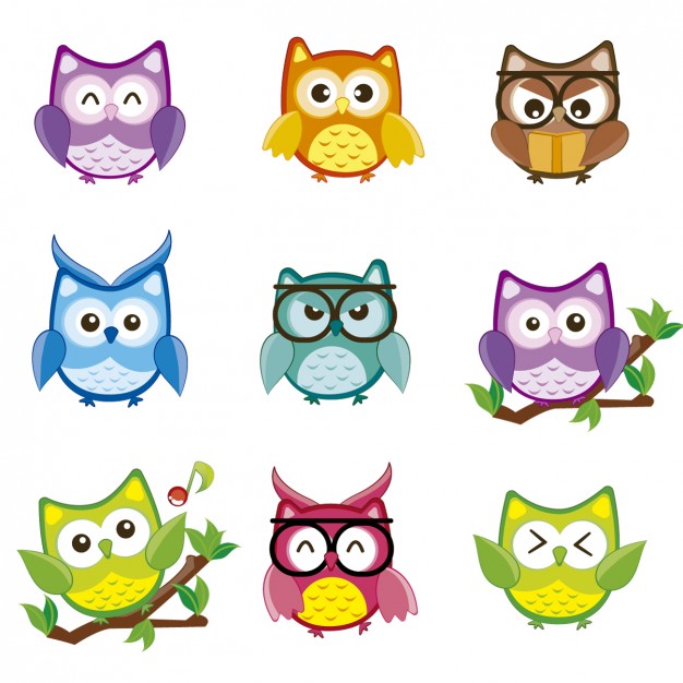 626x626 Owl Vectors, Photos And Psd Files Free Download