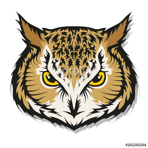 500x500 Owl Logo. Wild Birds Drawing. Head Of An Owl. Vector Graphics To