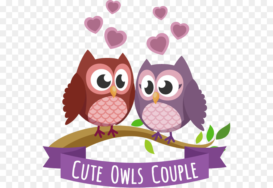 900x620 Barn Owl Little Owl