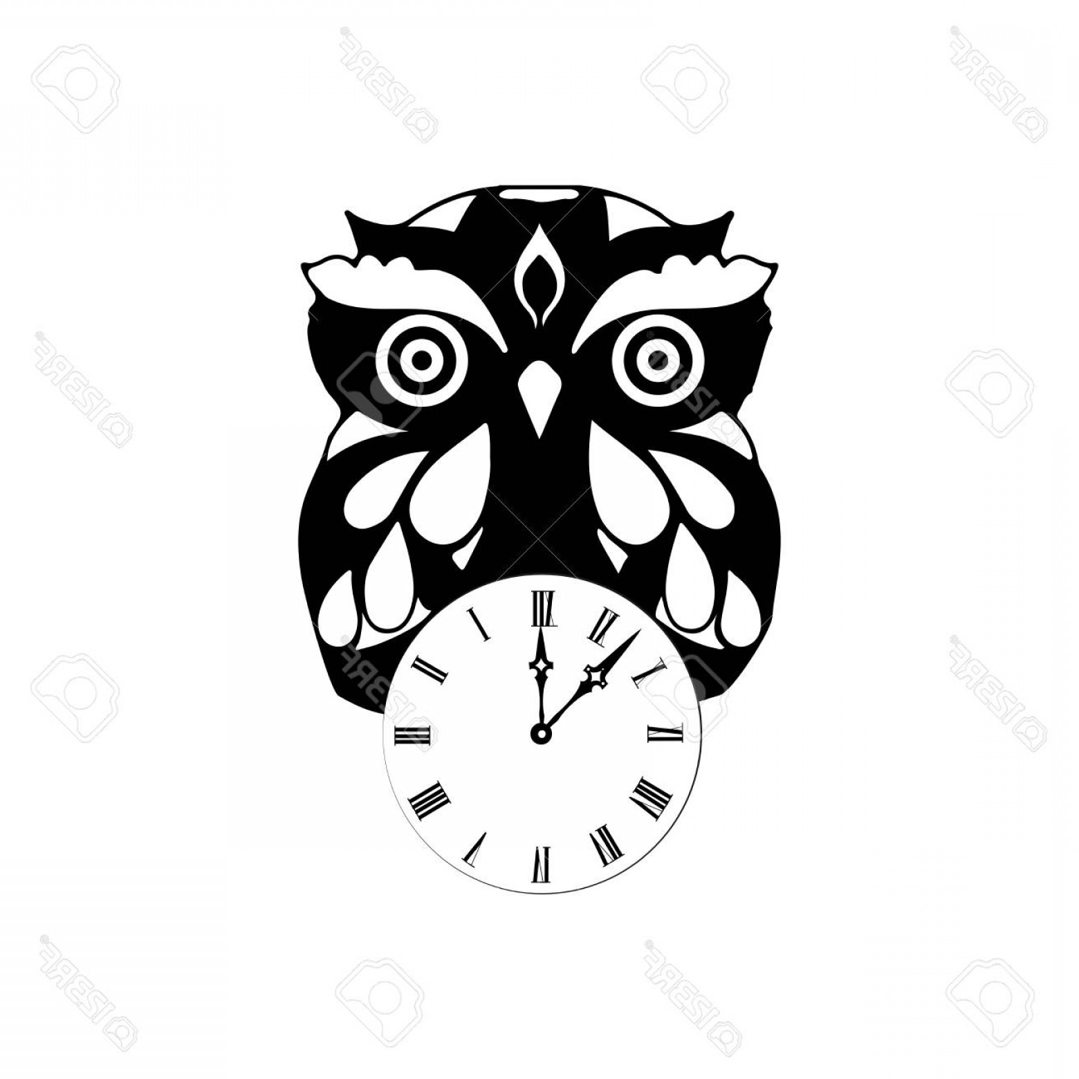 1560x1560 Decorative Owl Vector Graphics Arenawp