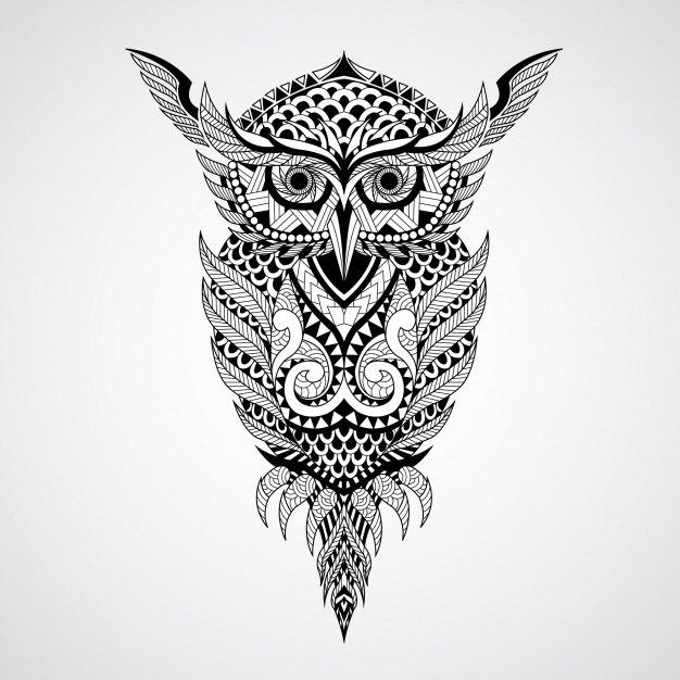 626x626 Owl Vectors, Photos And Psd Files Free Download