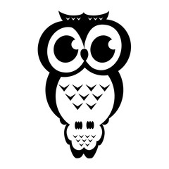 240x240 Search Photos Owl Vector