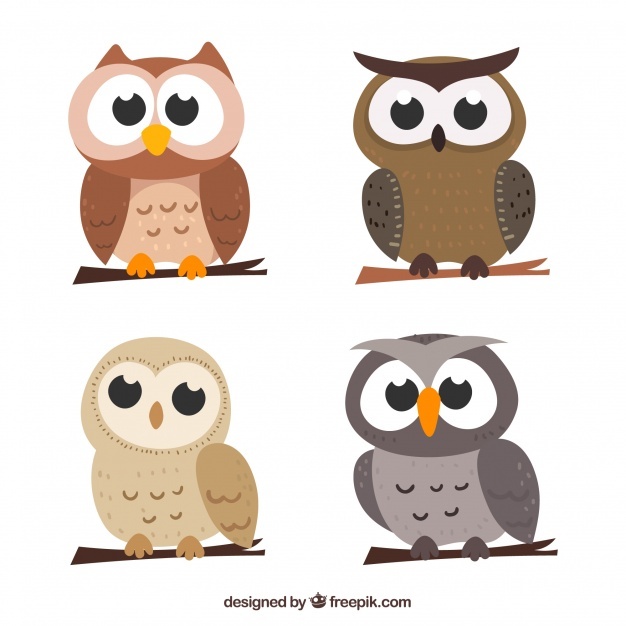 626x626 Owl Vectors, Photos And Psd Files Free Download